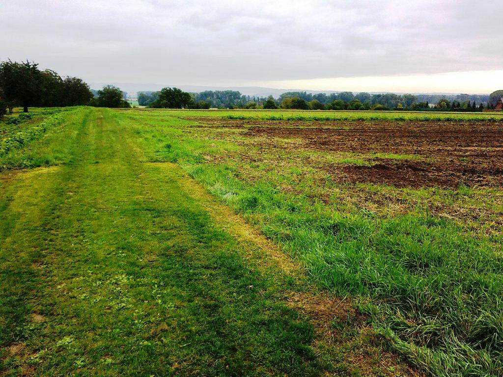 Prodej zemědělského objektu 20 000 m² – fotografie 2