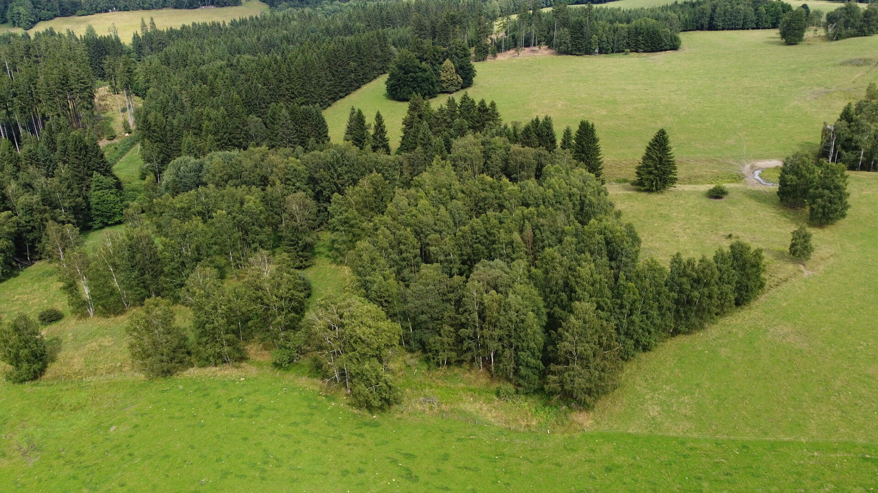 Prodej pole 6 044 m² – fotografie 4