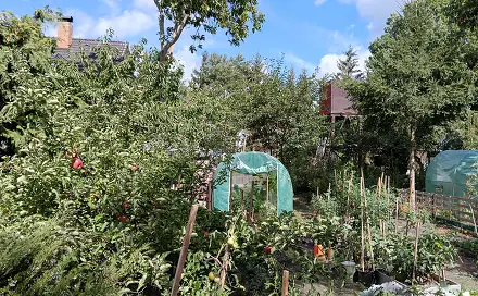 Pronájem zahrady 300 m², Rokycanská, Plzeň - Doubravka
