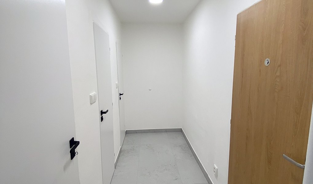 Pronájem bytu 1+1 35 m², Frýdek-Místek – náhled fotky 6