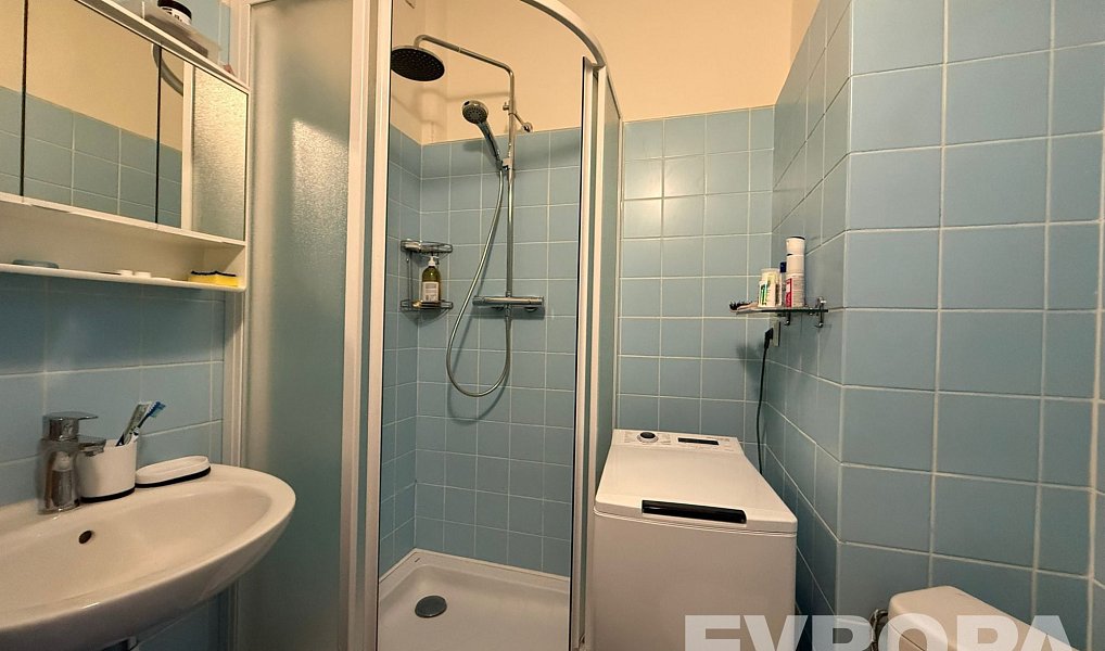 Pronájem bytu 1+kk 25 m², Praha – náhled fotky 3