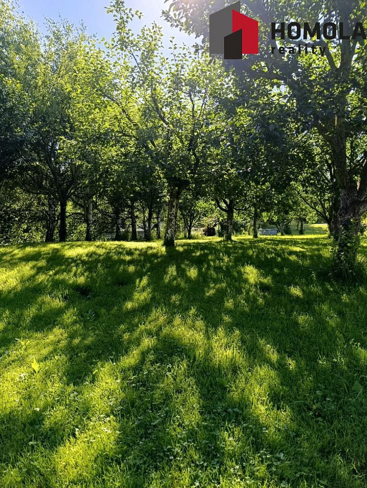 Fotka 11 z 29