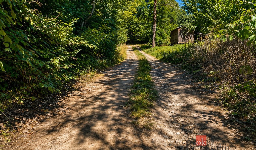 Prodej louky 3 075 m², Borotín – náhled fotky 7