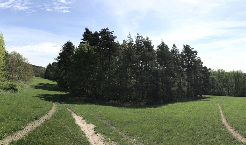 Prodej louky 24 023 m², Praha – náhled fotky 7