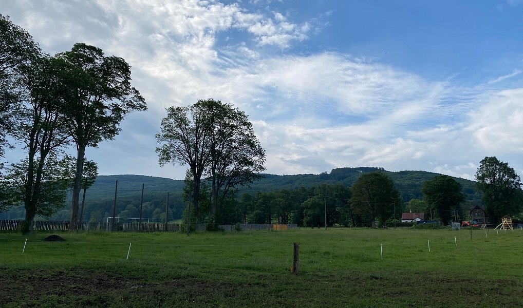 Prodej stavebního pozemku 1 331 m², Dolní Podluží – náhled fotky 4