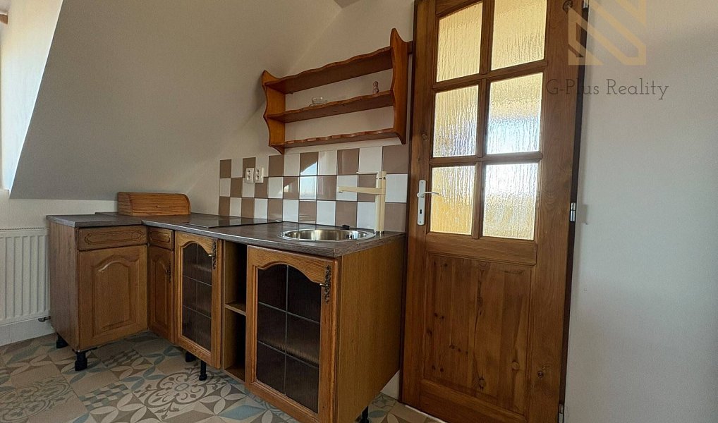 Pronájem bytu 1+kk 48 m², Černiv – náhled fotky 5