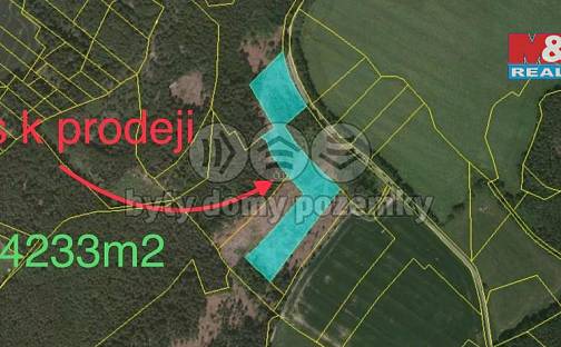 Prodej lesa 14 233 m², Horní Radouň - Starý Bozděchov, okres Jindřichův Hradec