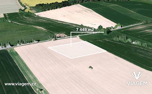 Prodej pole 1 862 m², Načeradec, okres Benešov