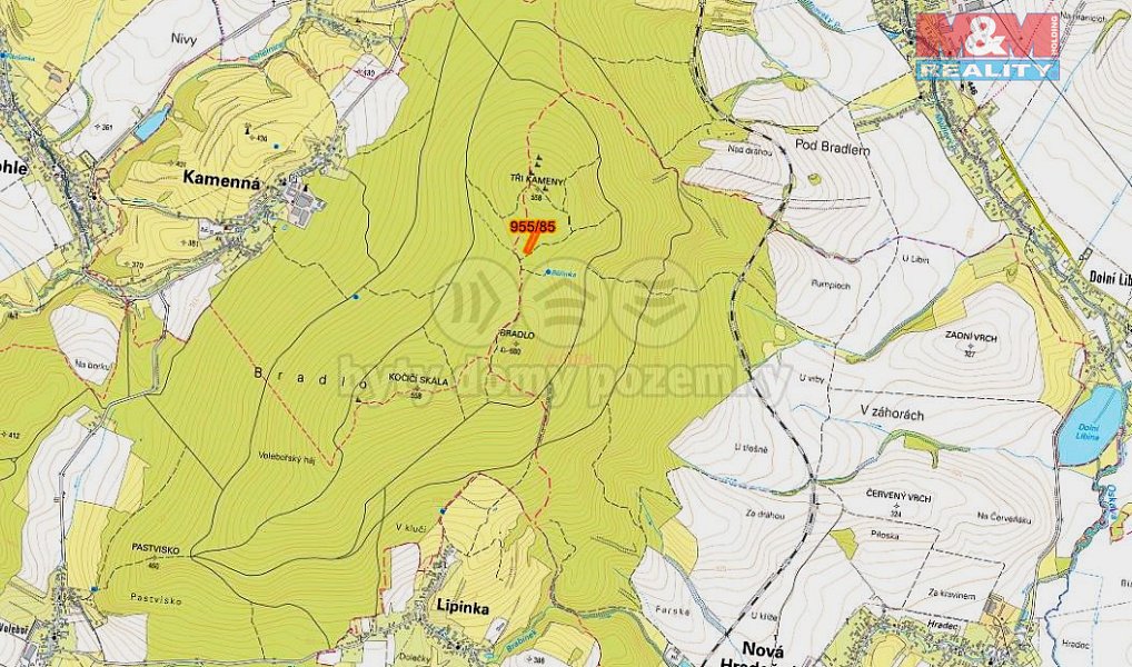 Prodej lesa 6 092 m², Nová Hradečná – náhled fotky 2