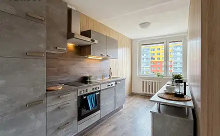 Prodej bytu 3+1 68 m², Josefa Ševčíka, Most