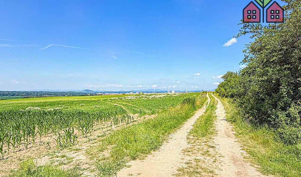 Prodej pole 41 291 m², Štětí – náhled fotky 5