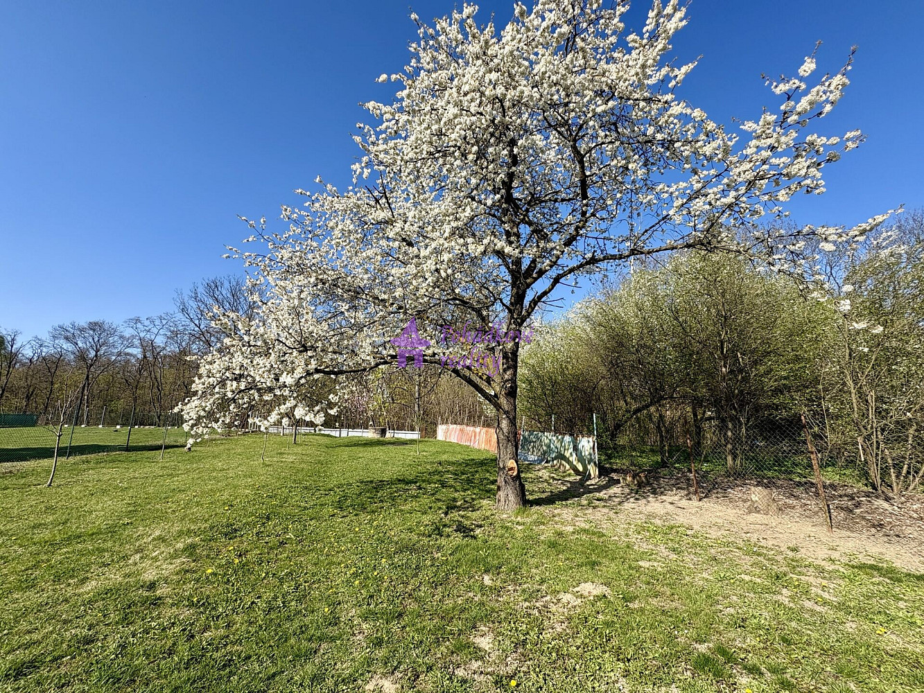 10 rooms, 636.0 m² in Olomouc
