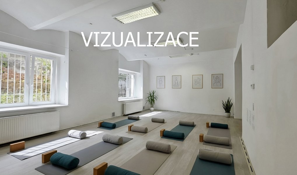 Pronájem kanceláře 167 m², Plzeň – náhled fotky 5