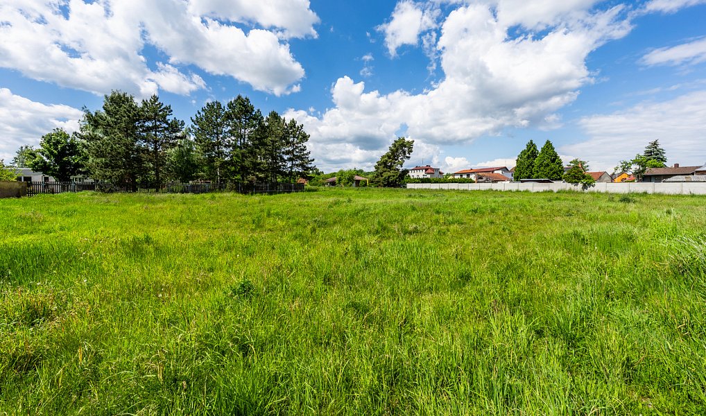 Prodej stavebního pozemku 10 396 m², Staňkov – náhled fotky 6