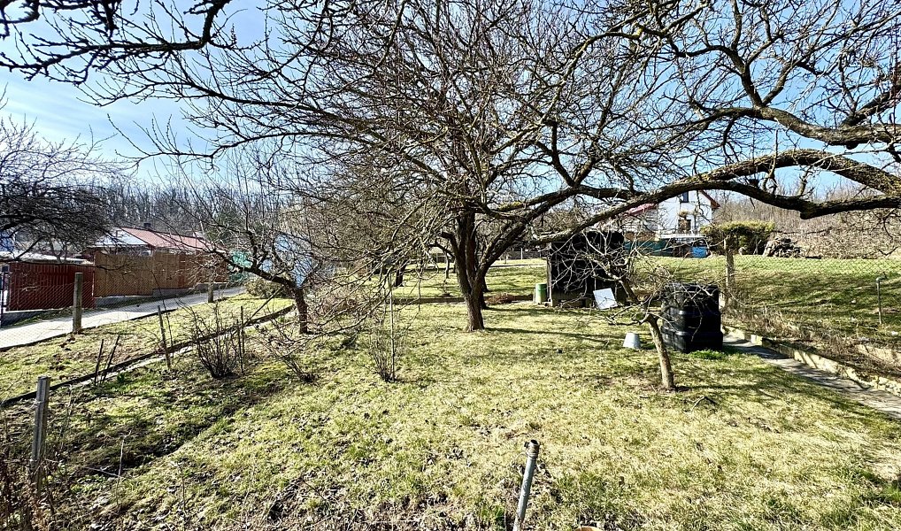 Prodej zahrady 511 m², Dyje – náhled fotky 7