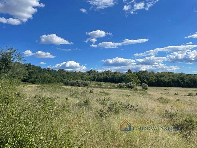 Pozemek 49 452 m2m², Poreč – pohled 2