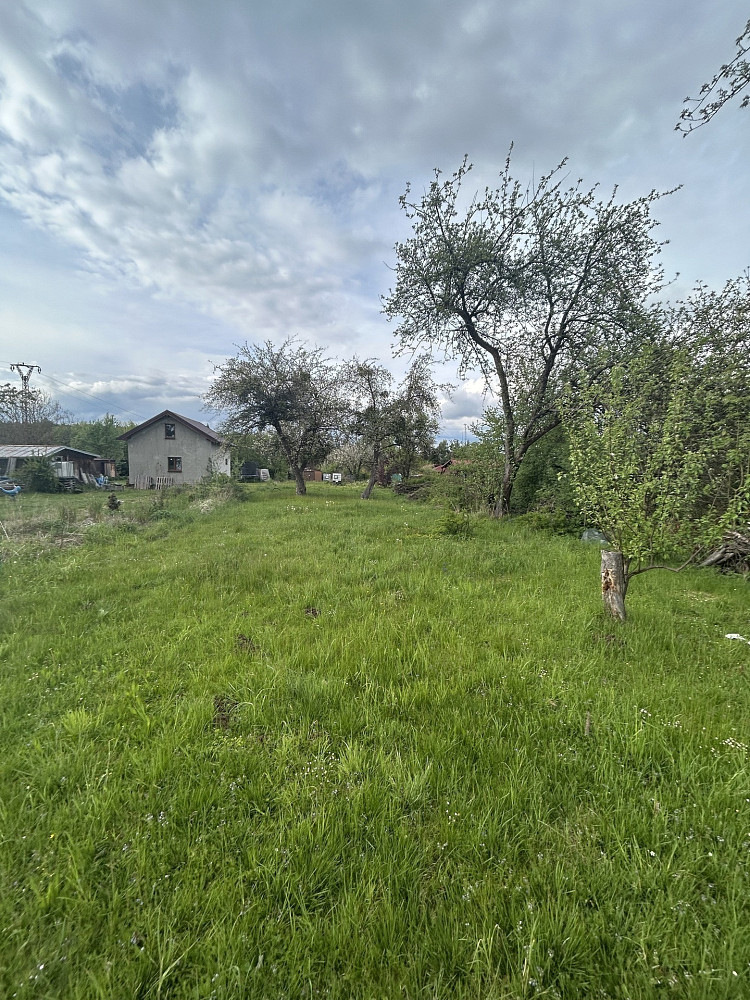 Fotka 9 z 11