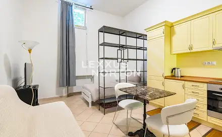 Pronájem bytu 1+kk 41 m²