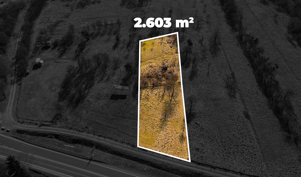 Prodej komerčního pozemku 2 603 m², Lípa – náhled fotky 19