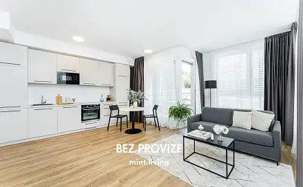 Pronájem bytu 2+kk 52 m²
