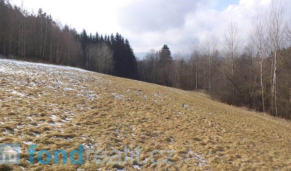 Prodej pozemku 10 344 m², Kájov – náhled fotky 4