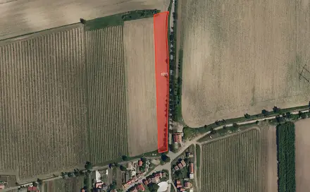 Prodej pole 13 194 m², Milotice, okres Hodonín