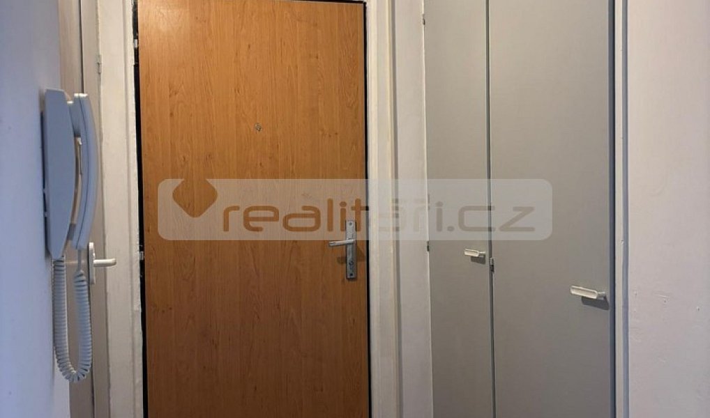 Pronájem bytu 2+1 22 m², Plzeň – náhled fotky 6