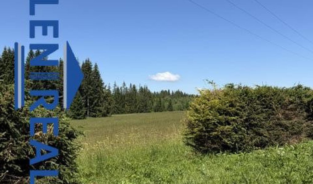 Prodej pozemku 451 m², Zlaté Hory – náhled fotky 4