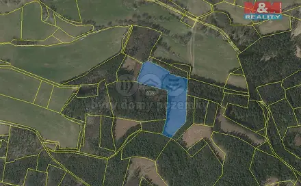 Prodej lesa 24 708 m², Přechovice, okres Strakonice