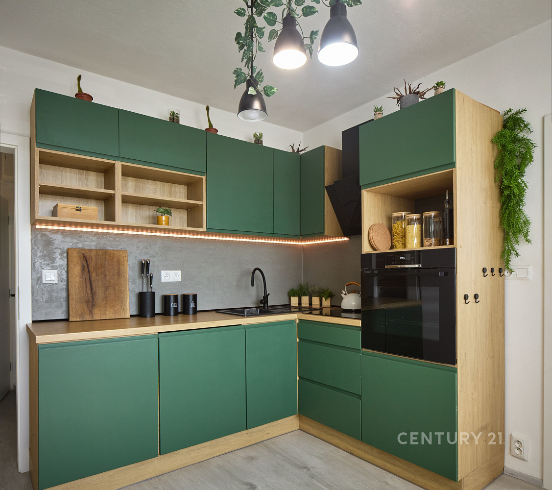 Prodej bytu 1+1 42 m²