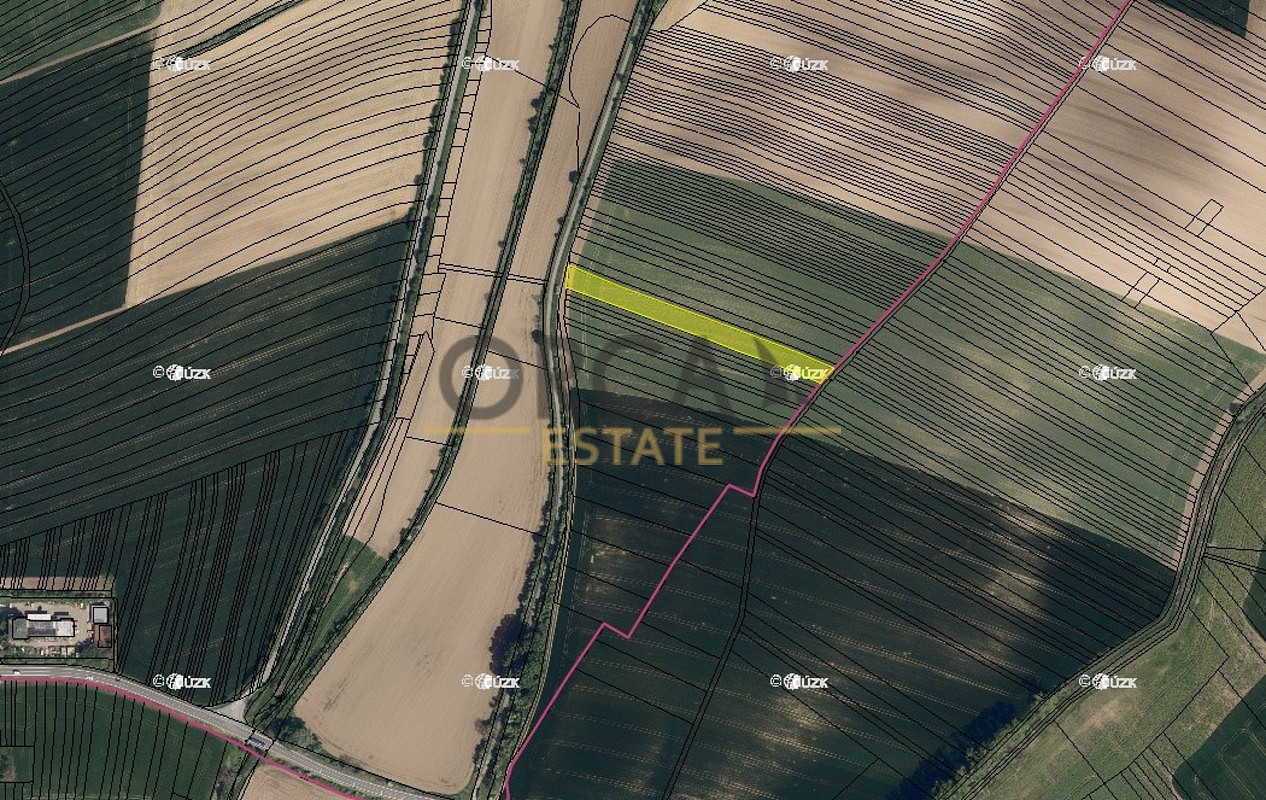 Prodej pole 1 891 m² – fotografie 2