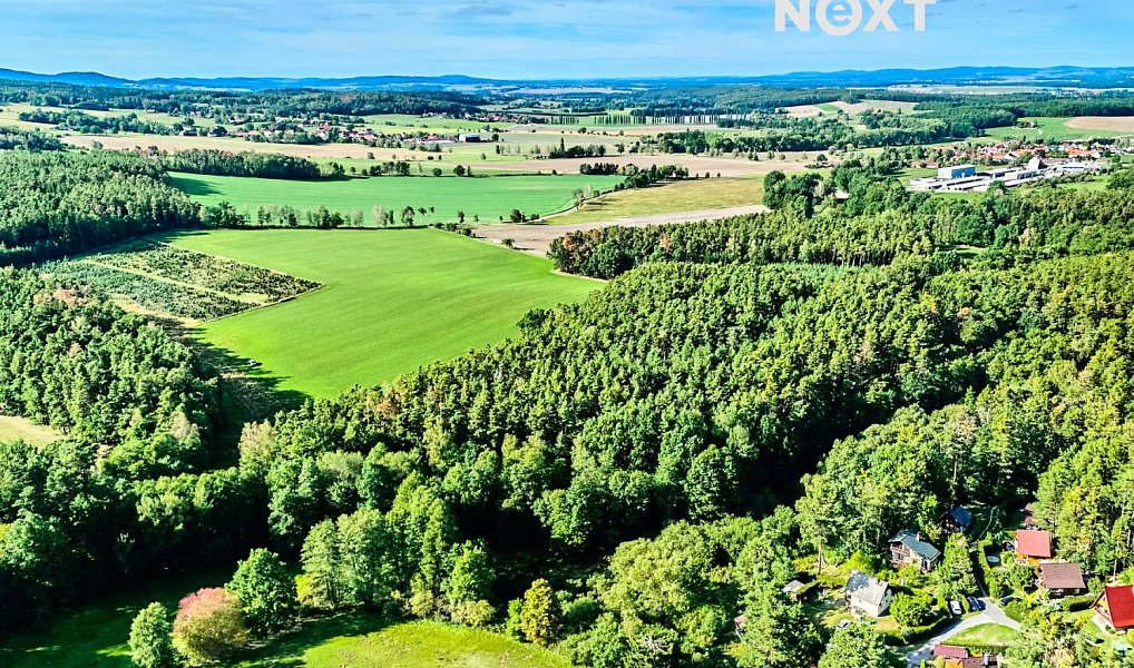 Prodej lesa 13 404 m², Hradce – náhled fotky 6