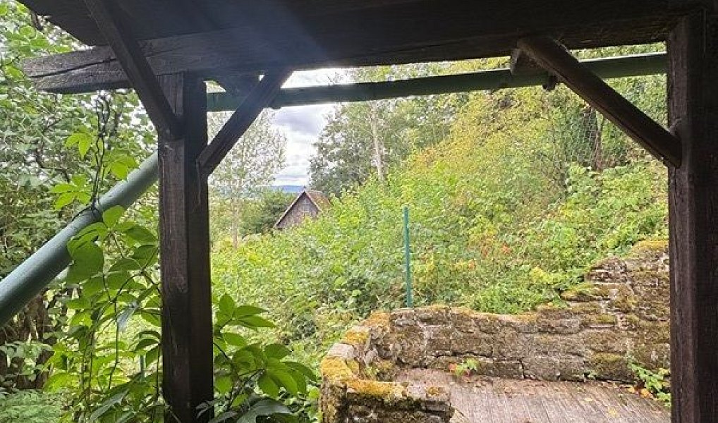 Prodej chaty/chalupy 20 m² s pozemkem 465 m², Police nad Metují – náhled fotky 3