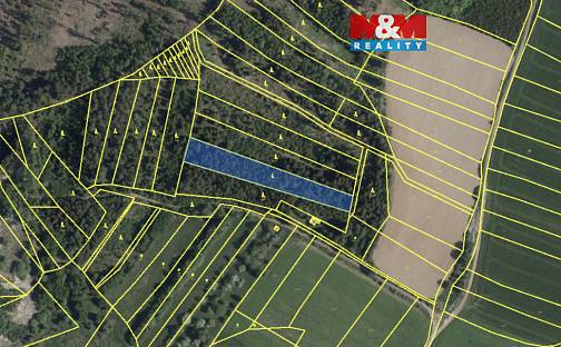 Prodej lesa 7 177 m², Mysletice, okres Jihlava