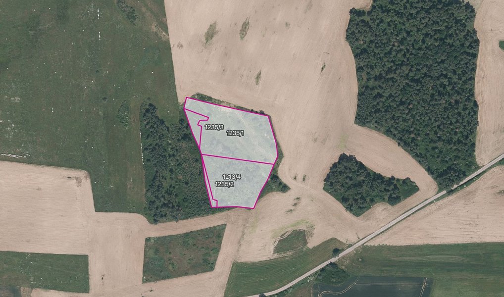 Prodej pole 34 439 m², Velký Bor – náhled fotky 2