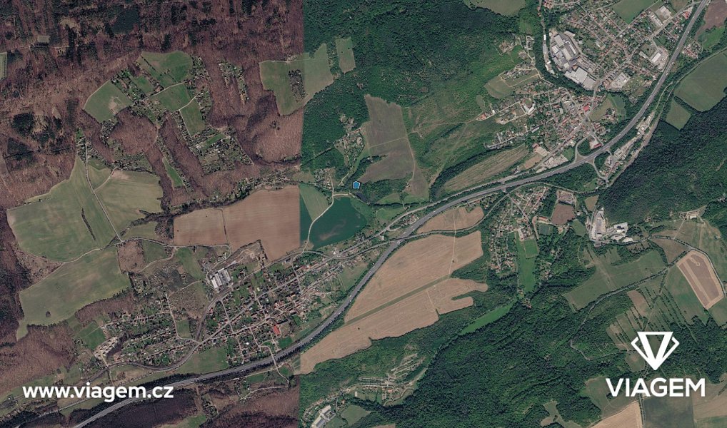 Prodej lesa 768 m², Vráž – náhled fotky 3