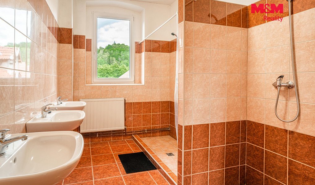 Pronájem ubytovacího objektu 13 087 m², Levín – náhled fotky 7