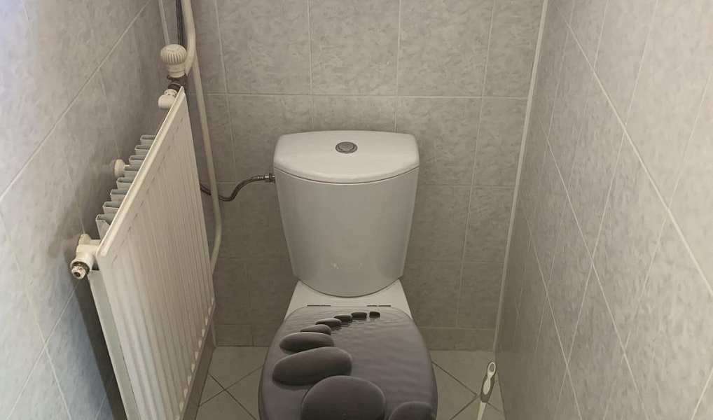 Prodej domu 200 m² s pozemkem 1 097 m², Velké Heraltice – náhled fotky 41