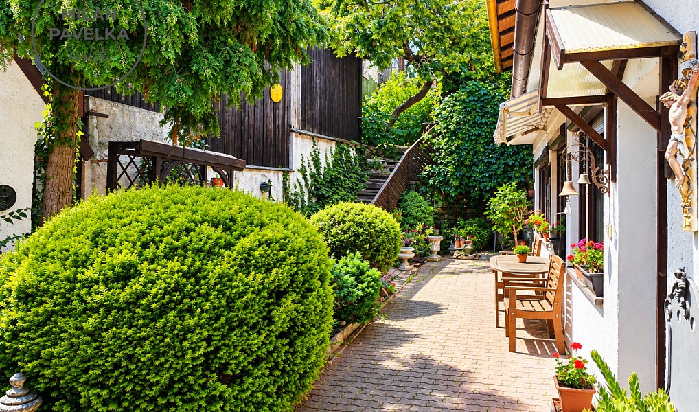 Prodej domu 150 m² s pozemkem 3 620 m², Ždánice – náhled fotky 14
