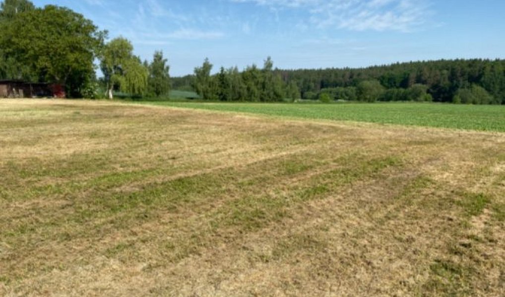 Prodej stavebního pozemku 8 669 m², Zbizuby – náhled fotky 9