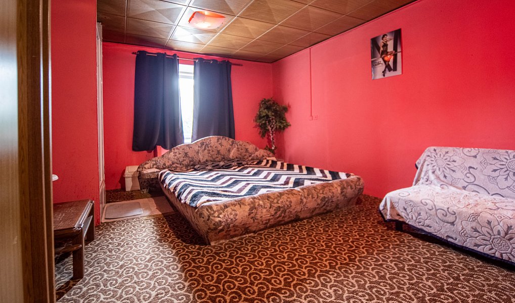Prodej komerčního objektu (jiného typu) 400 m², Dolní Dvořiště – náhled fotky 11