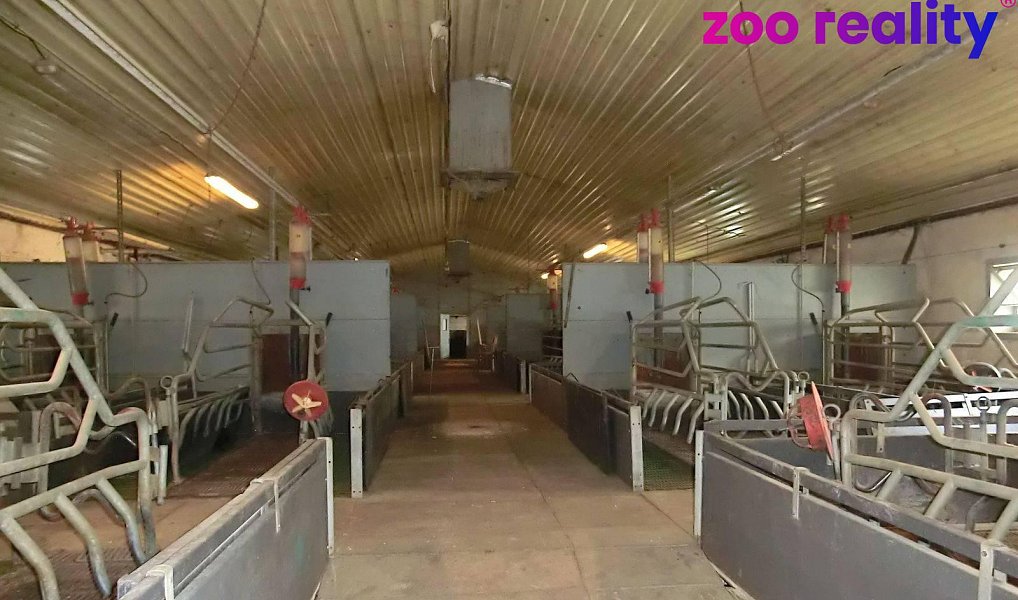 Prodej zemědělského objektu 2 000 m², Majdalena – náhled fotky 8