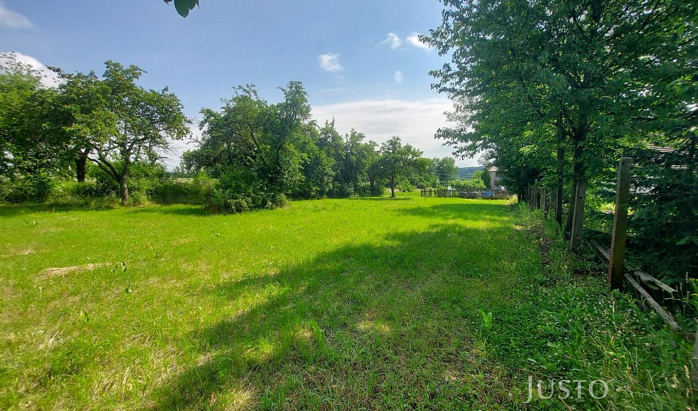 Prodej stavebního pozemku 2 918 m², Dražíč – náhled fotky 5