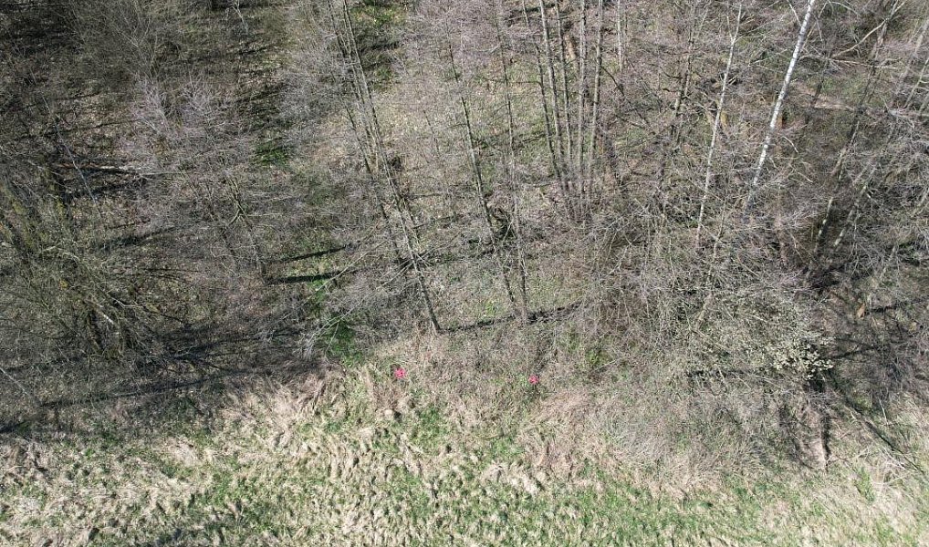 Prodej stavebního pozemku 4 280 m², Heřmanov – náhled fotky 3