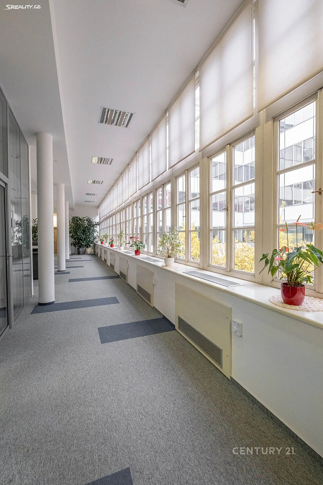 Pronájem kanceláře 300 m² — photo 3