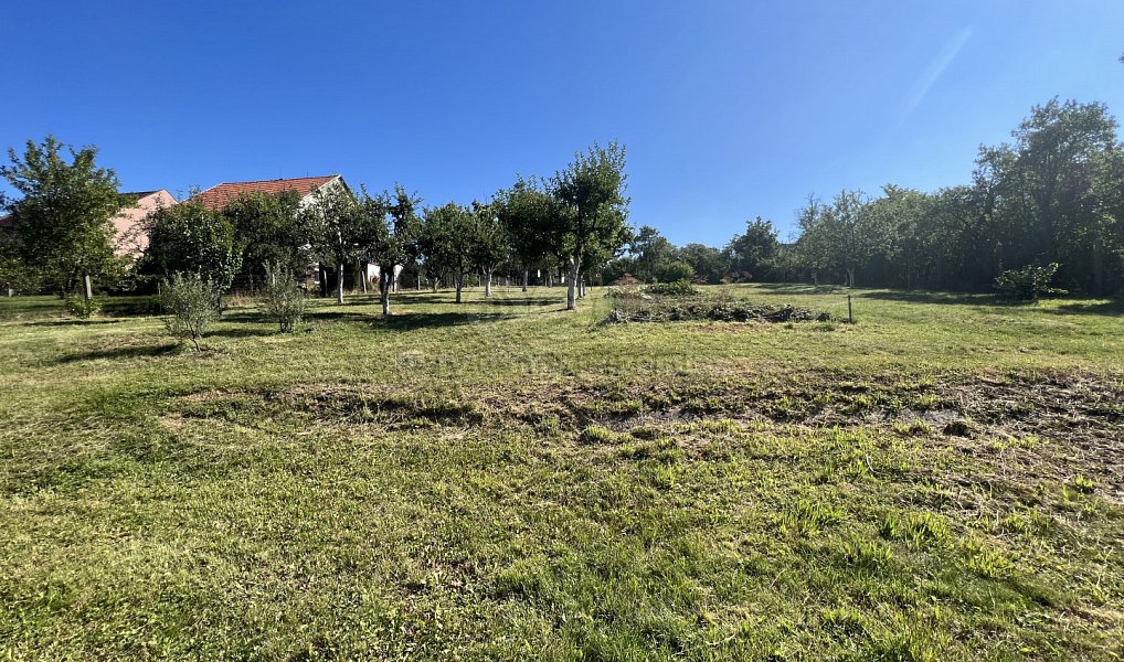 Prodej domu 333 m² s pozemkem 3 207 m², Roštín – náhled fotky 5