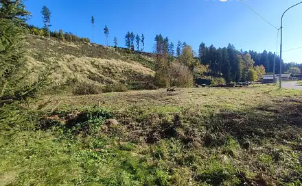Prodej zahrady 2 666 m², Staré Buky - Horní Staré Buky, okres Trutnov