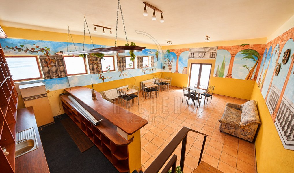 Prodej domu 770 m² s pozemkem 1 076 m², Ovčáry – náhled fotky 2