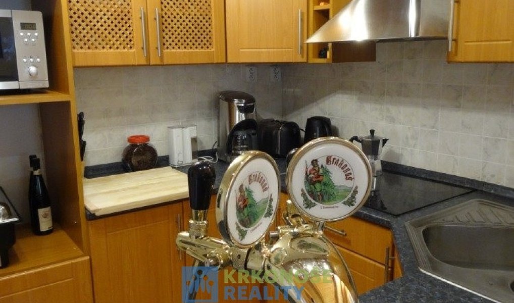 Prodej domu 272 m² s pozemkem 650 m², Žacléř – náhled fotky 25