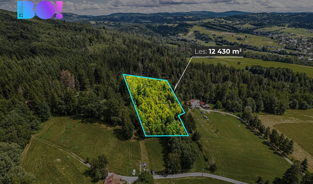 Prodej lesa 12 430 m², Písek – náhled fotky 2